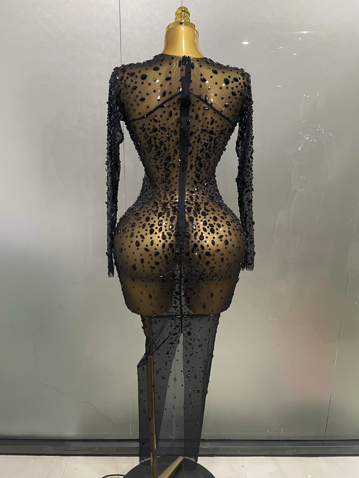 Sheer long sleeve Dress