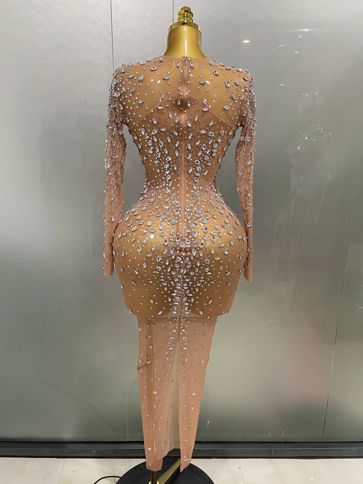Sheer long sleeve Dress