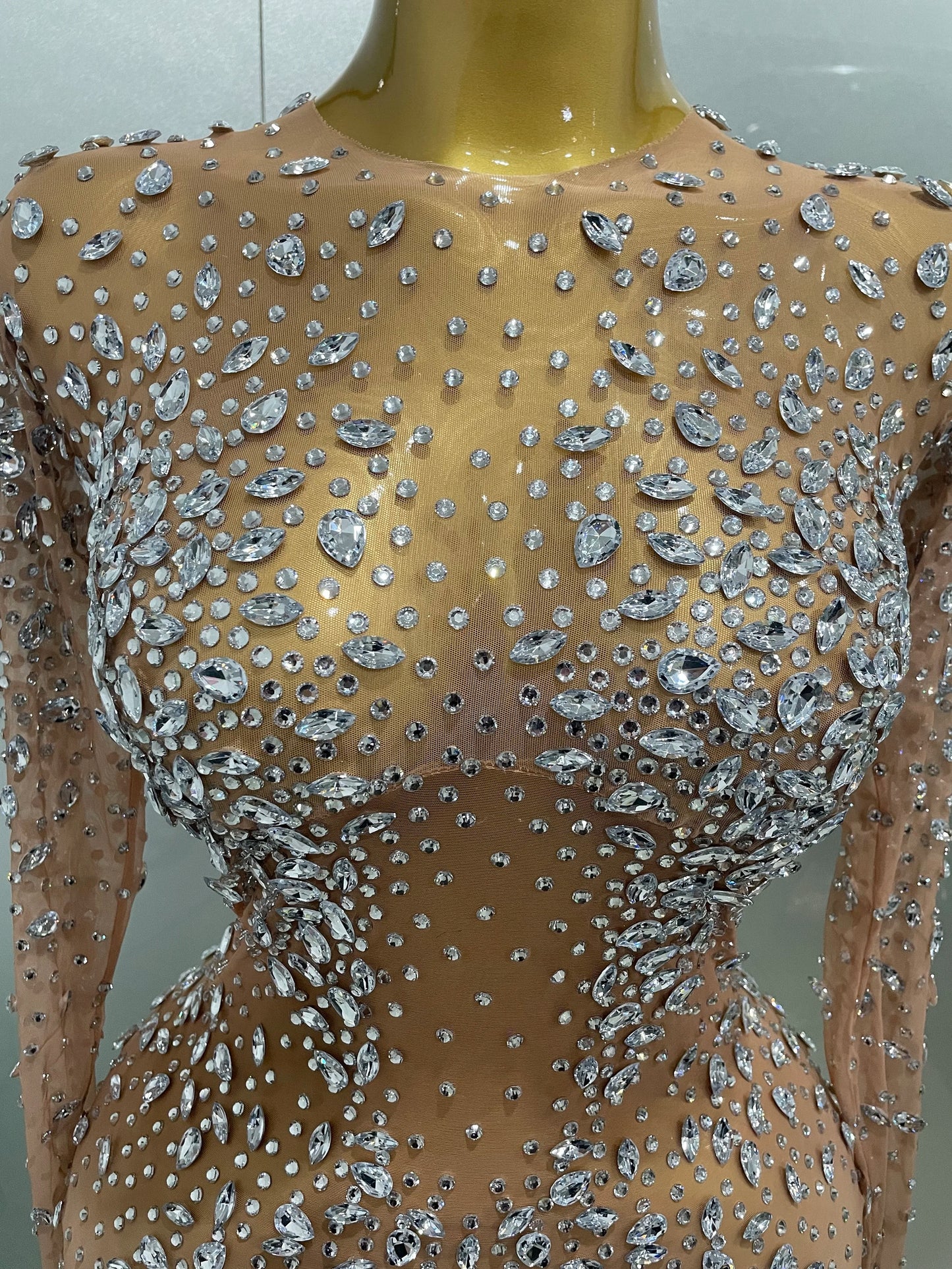 Sheer long sleeve Dress