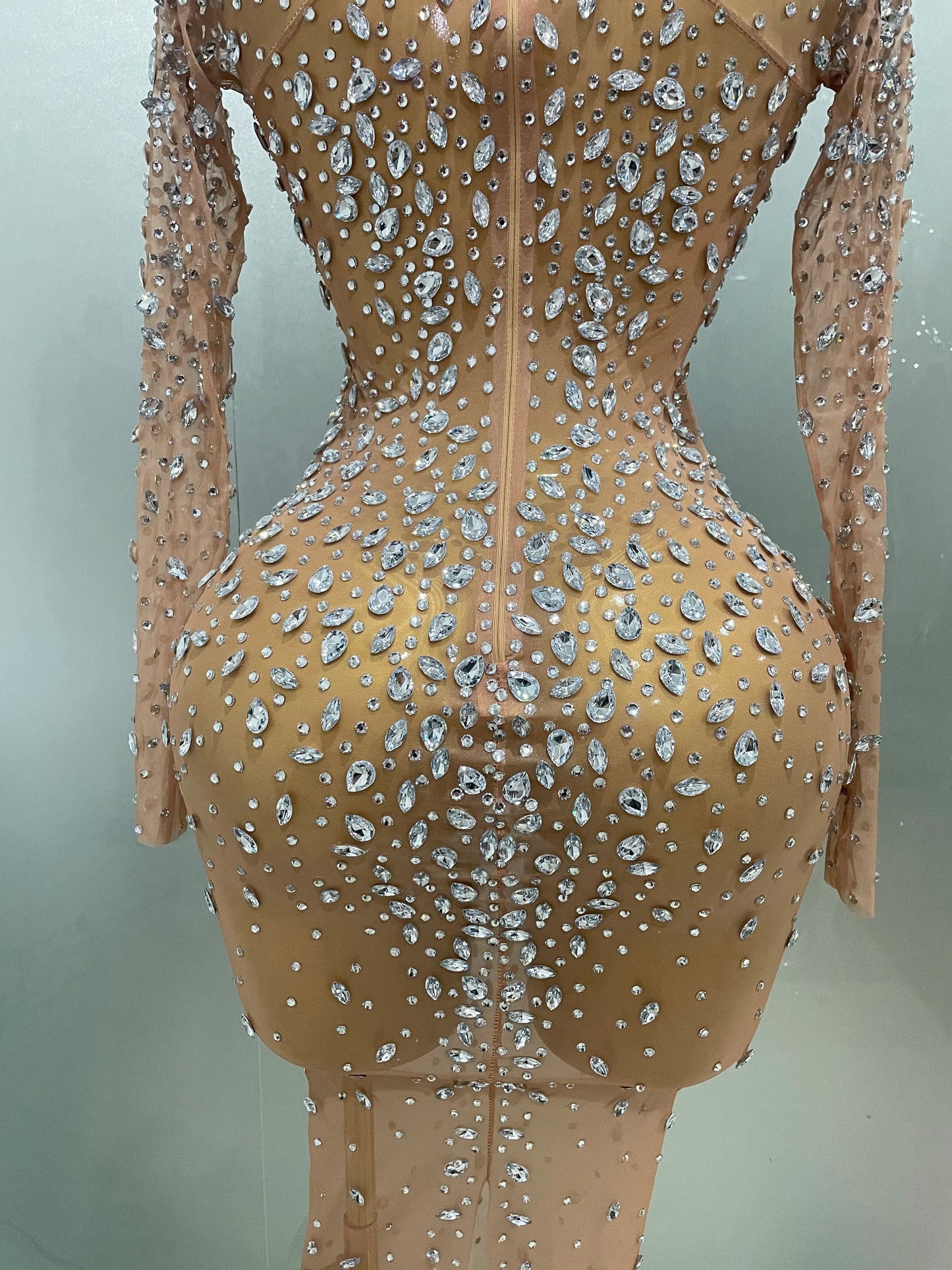 Sheer long sleeve Dress