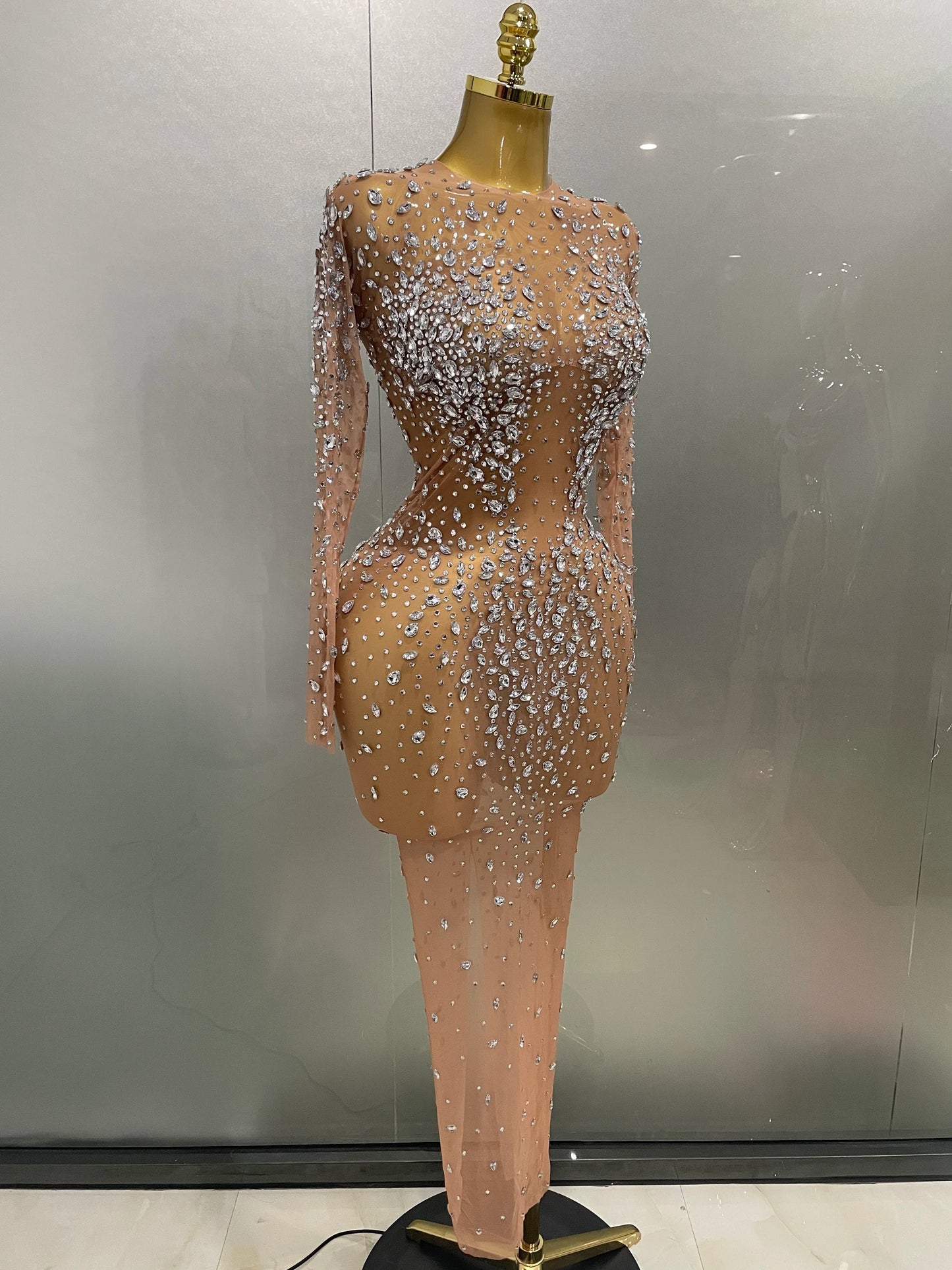 Sheer long sleeve Dress