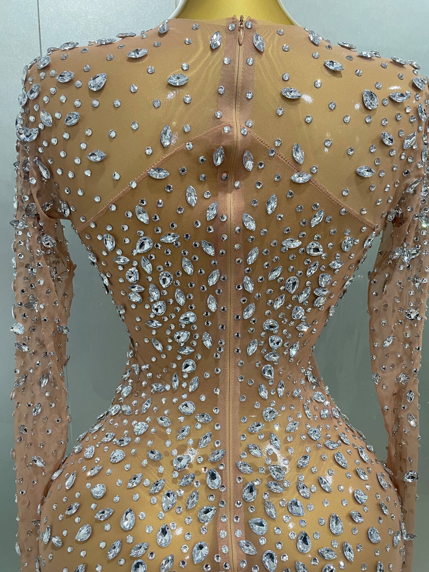 Sheer long sleeve Dress