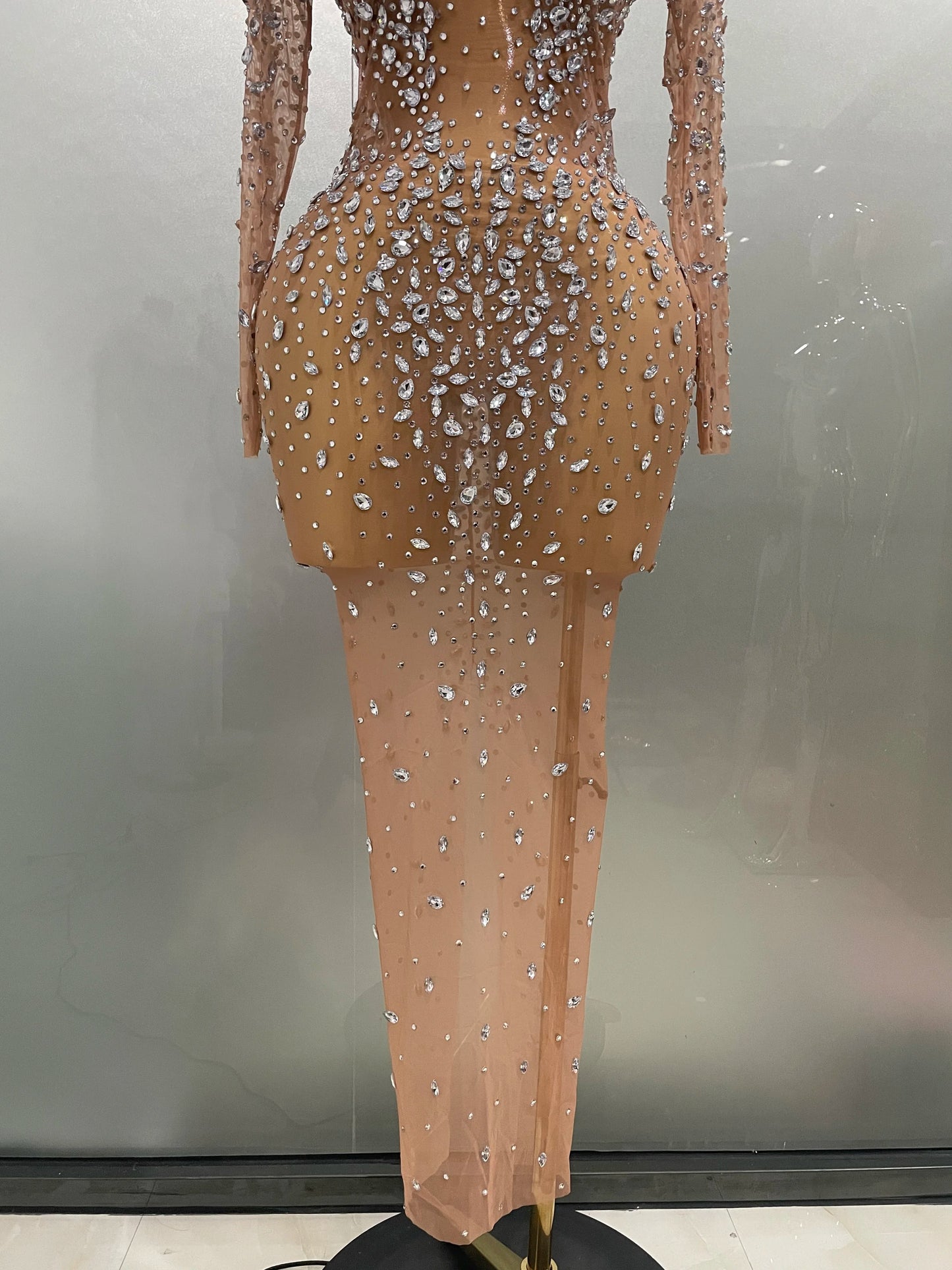 Sheer long sleeve Dress