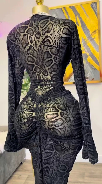 Stacked Mesh See Though with Lining