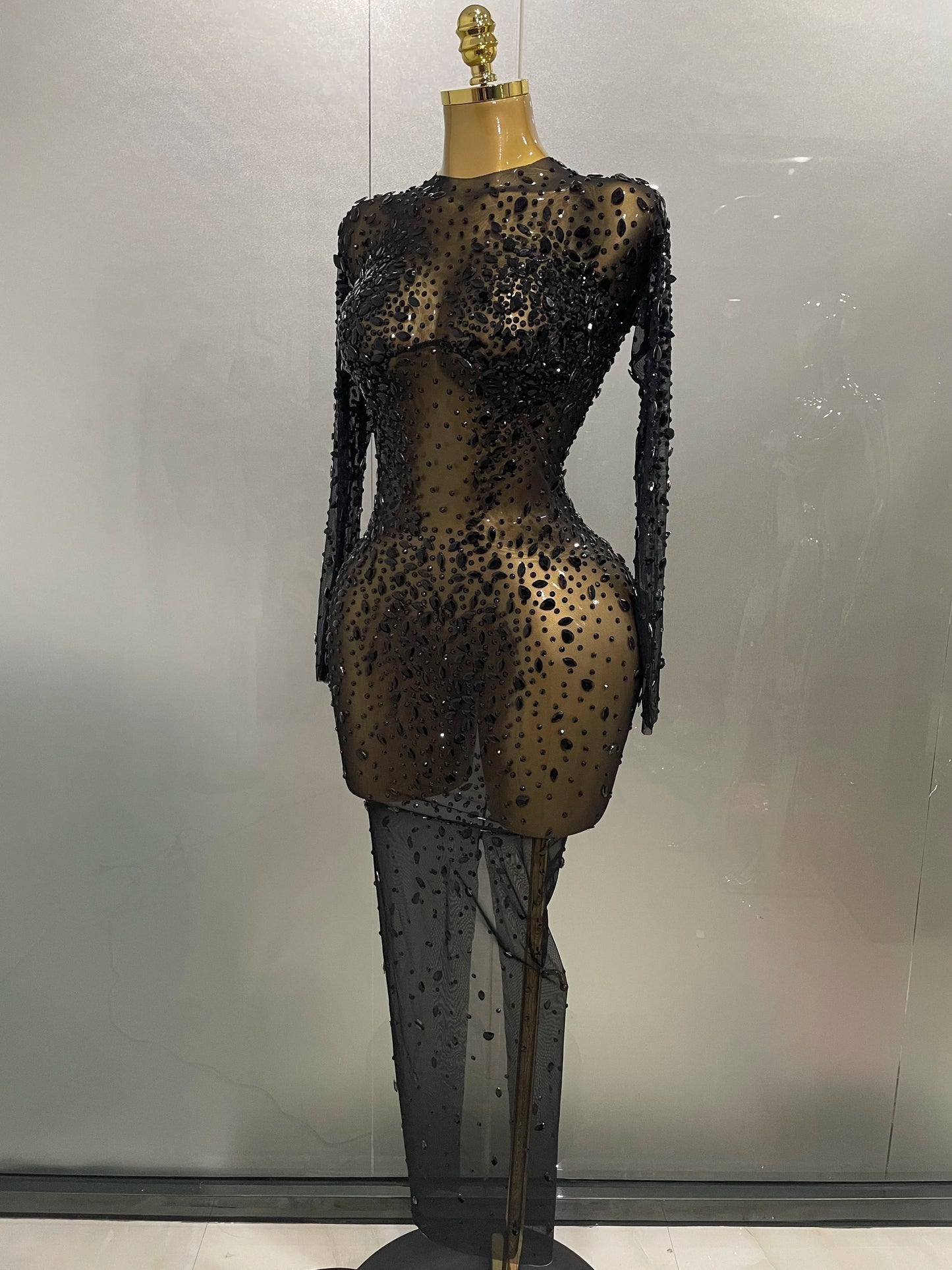 Sheer long sleeve Dress