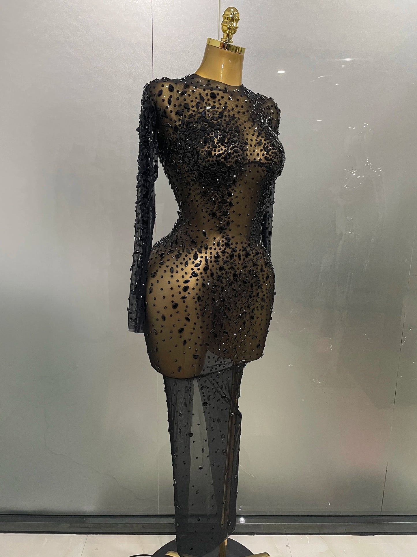 Sheer long sleeve Dress