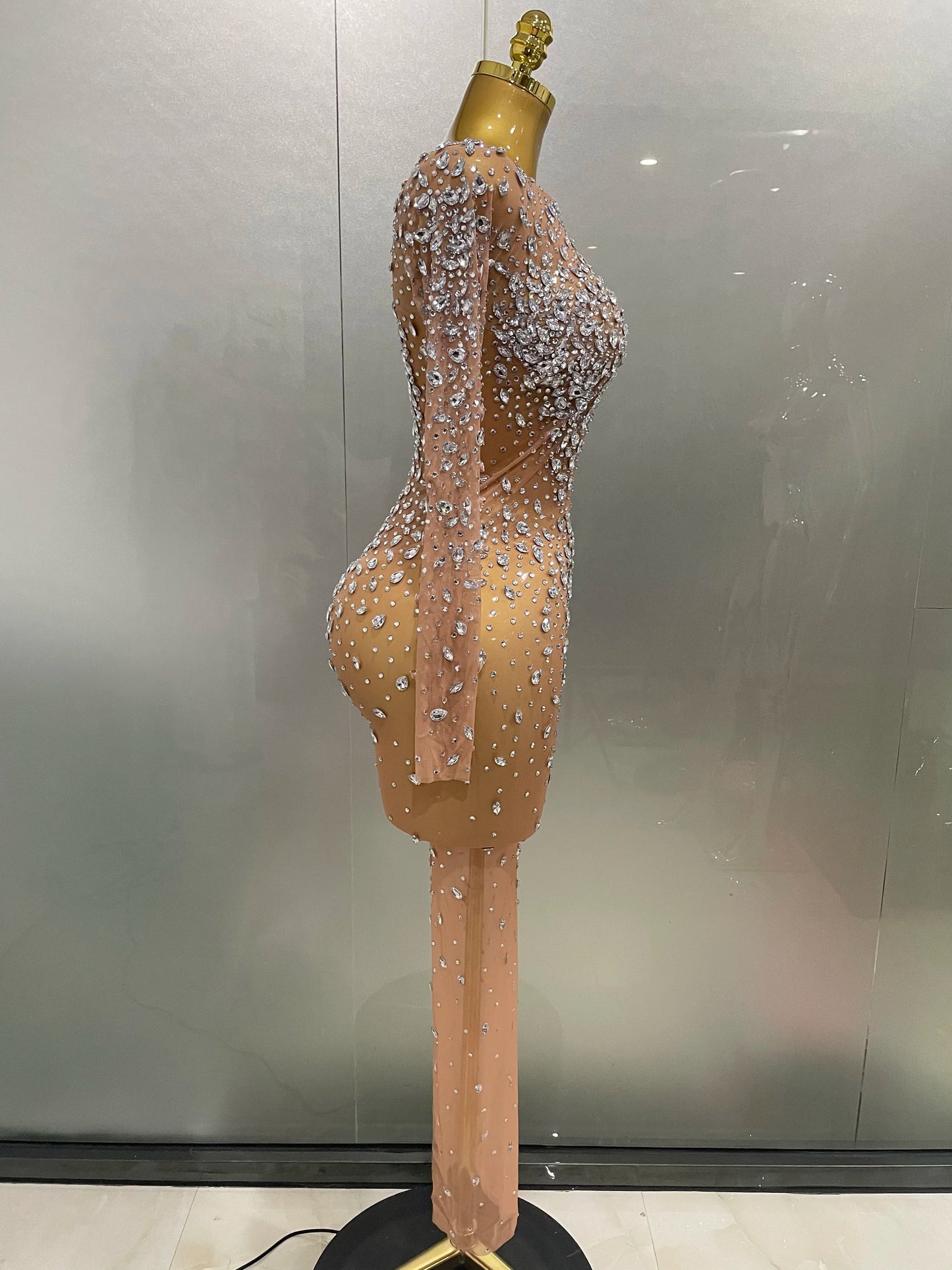 Sheer long sleeve Dress