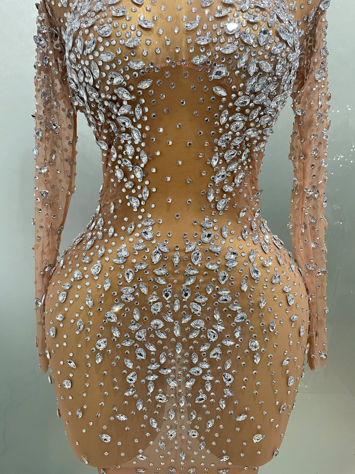 Sheer long sleeve Dress
