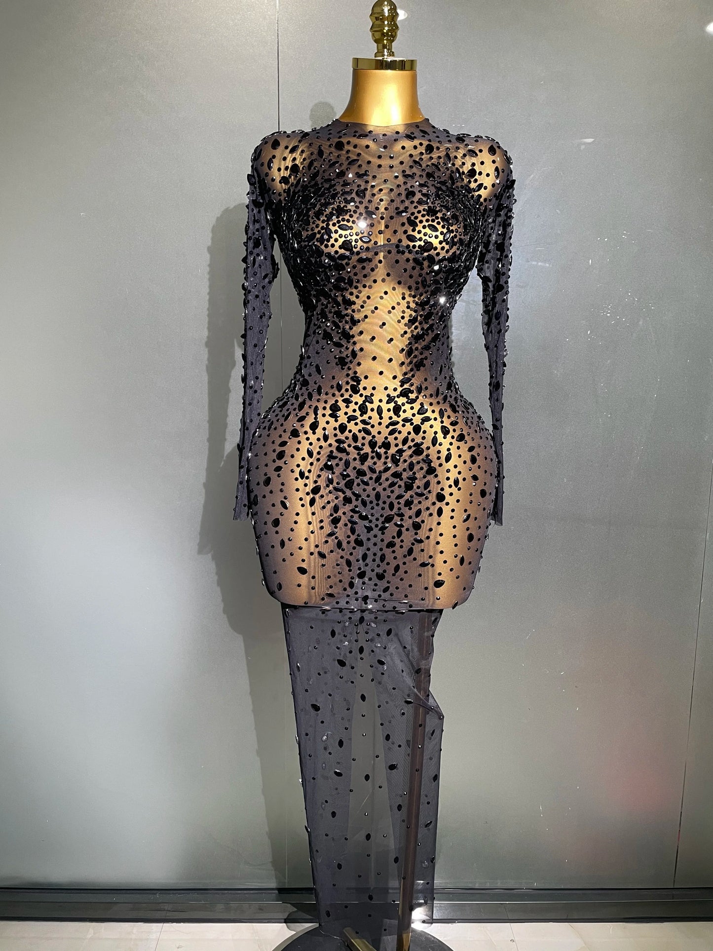Sheer long sleeve Dress