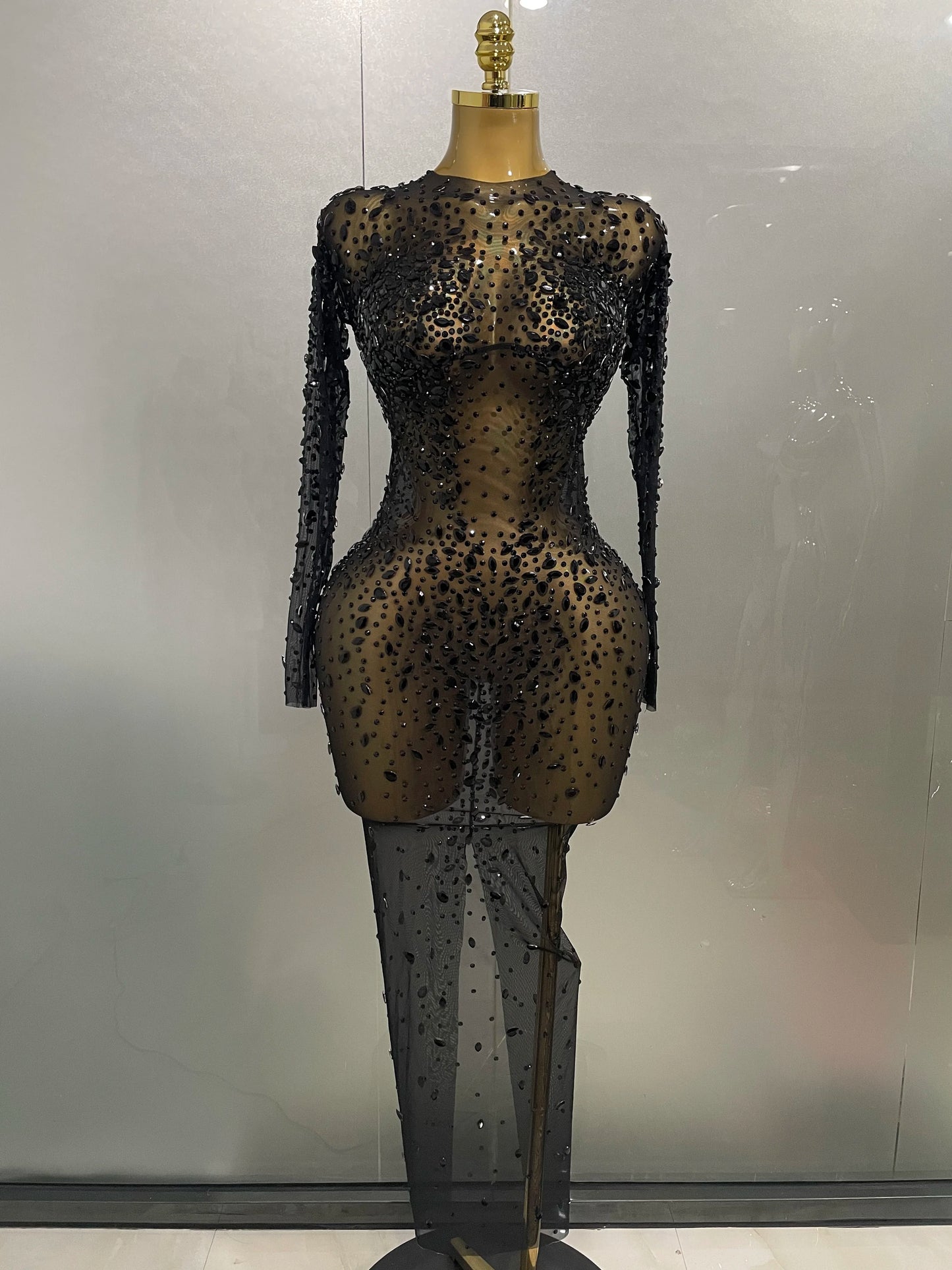 Sheer long sleeve Dress