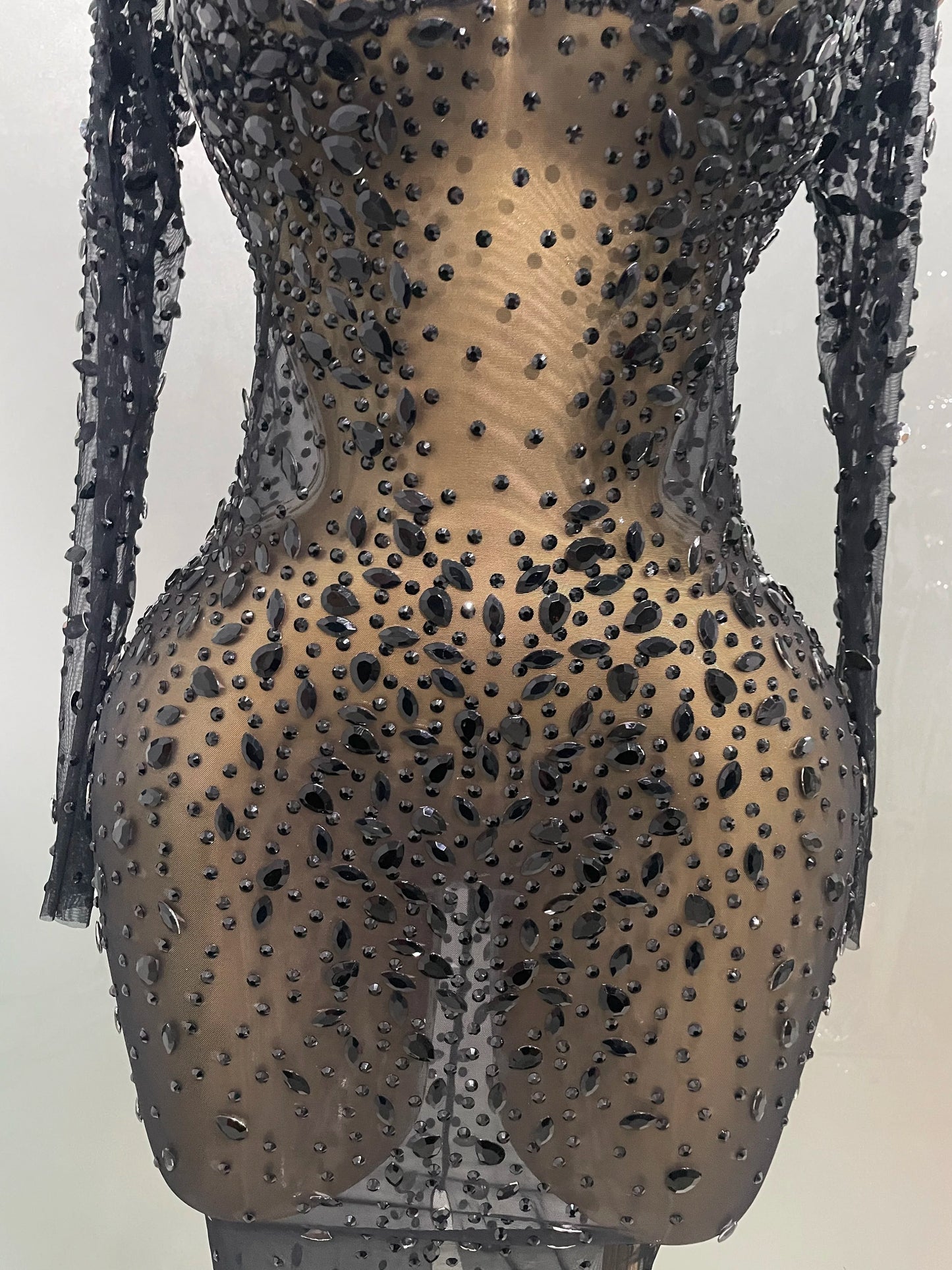 Sheer long sleeve Dress